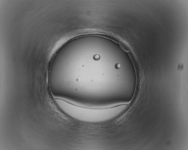 X0000111651365200907311306