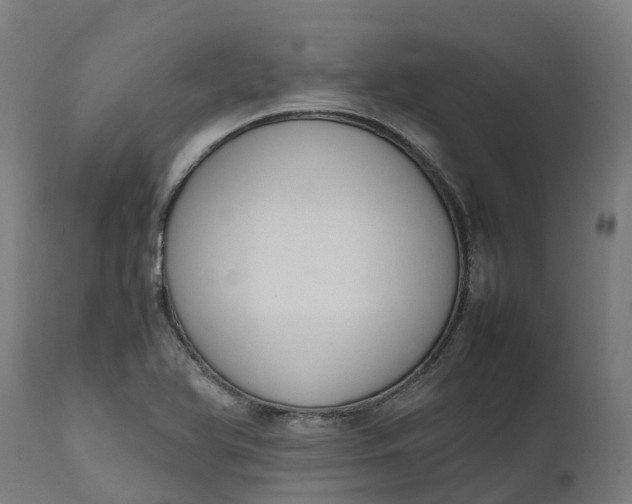 X0000111651366200907311306