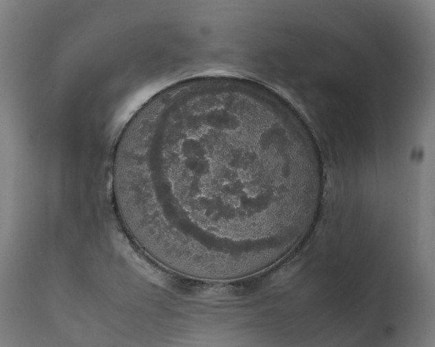 X0000111651367200907311306