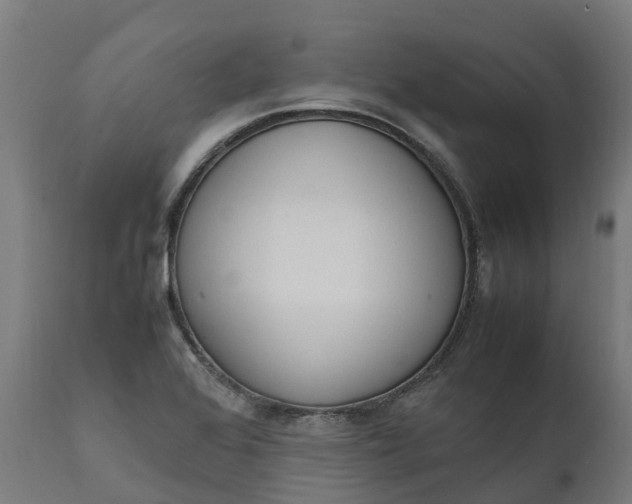 X0000111651368200907311306