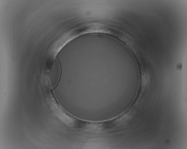 X0000111651369200907311306