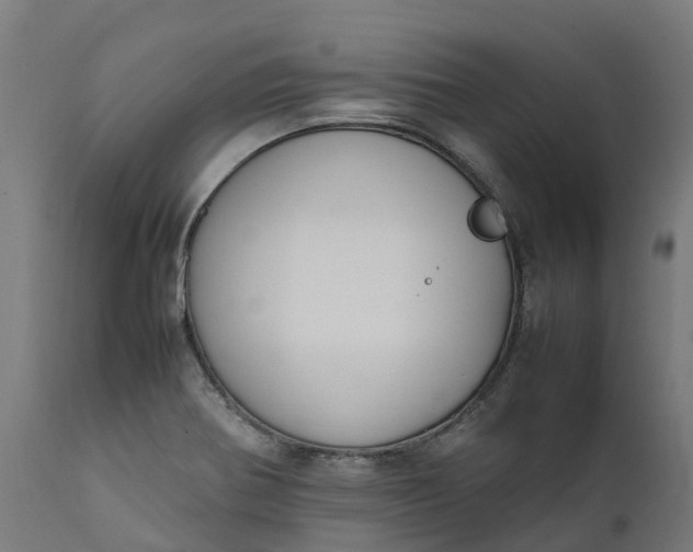 X0000111651370200907311306