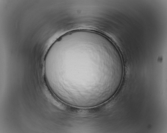 X0000111651371200907311306