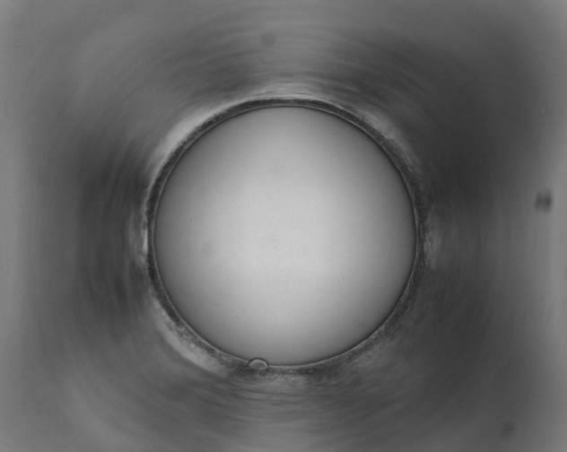 X0000111651372200907311306