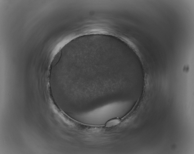 X0000111651373200907311306