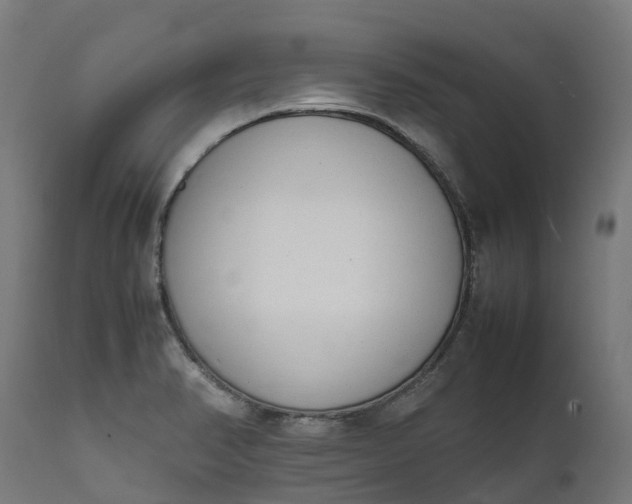 X0000111651374200907311306
