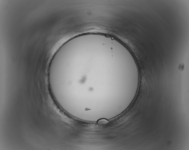 X0000111651375200907311306