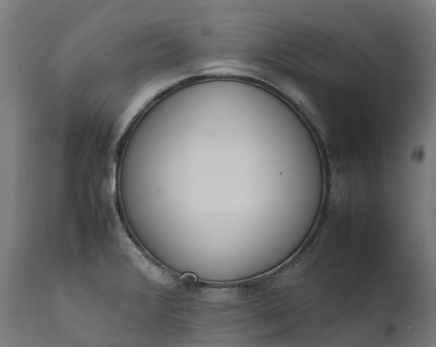 X0000111651376200907311306