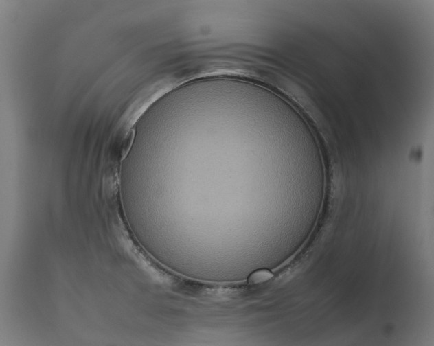 X0000111651377200907311306