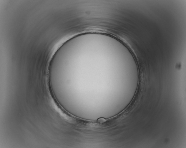 X0000111651379200907311306