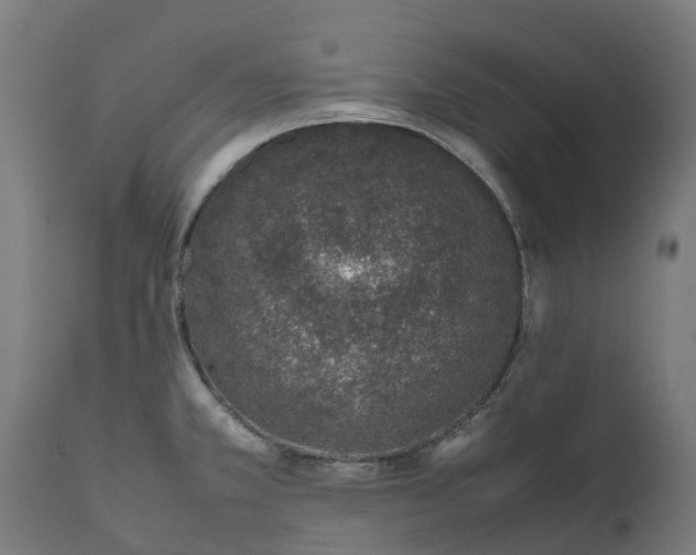 X0000111651381200907311306