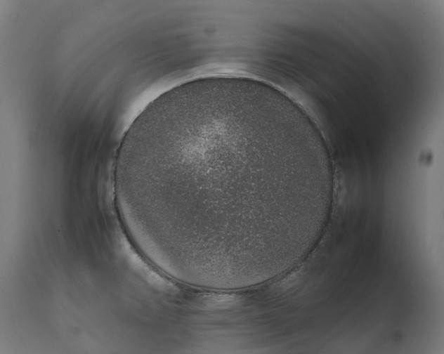 X0000111651382200907311306