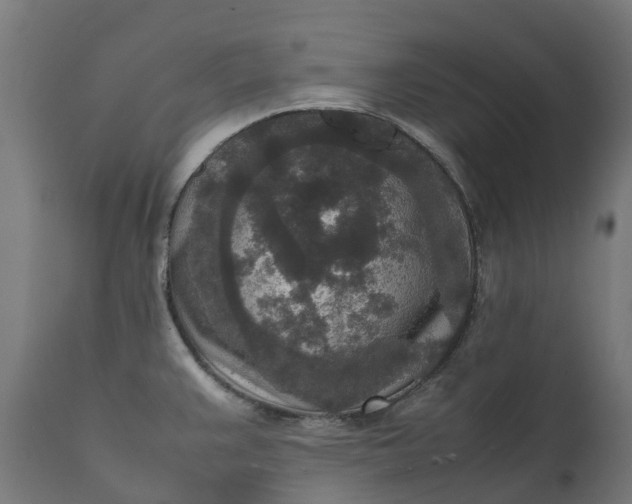 X0000111651383200907311306
