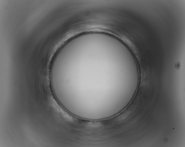 X0000111651384200907311306
