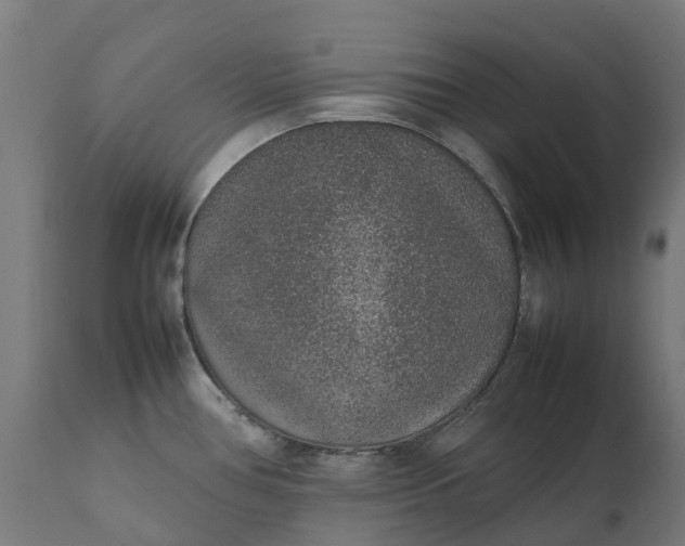 X0000111651386200907311306