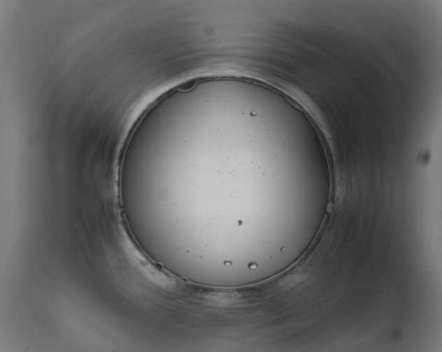 X0000111651388200907311306