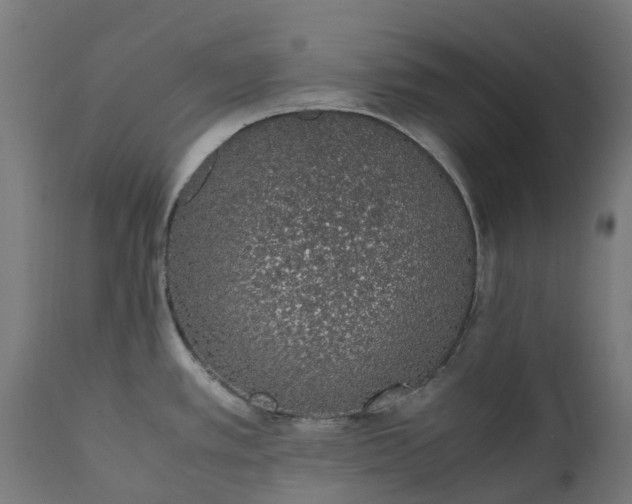 X0000111651389200907311306