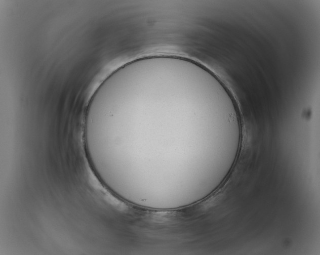 X0000111651390200907311306