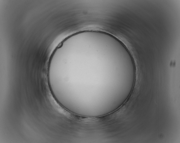 X0000111651392200907311306