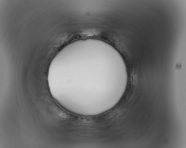 X0000111651393200907311305
