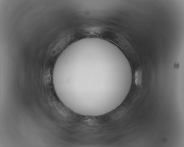 X0000111651395200907311305