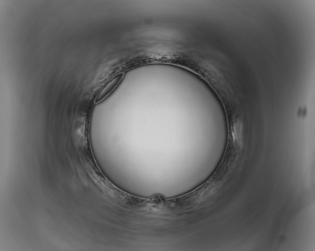 X0000111651396200907311305