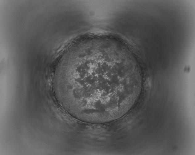 X0000111651397200907311305