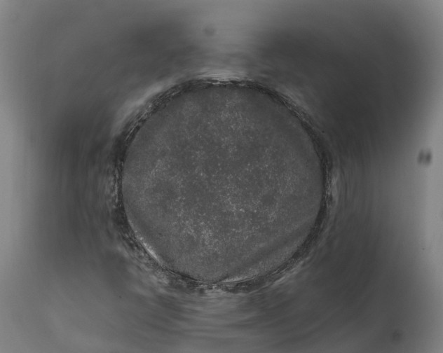 X0000111651398200907311305