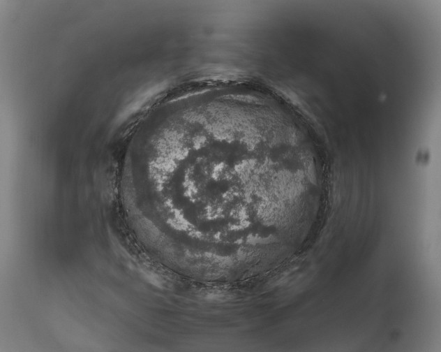 X0000111651399200907311305