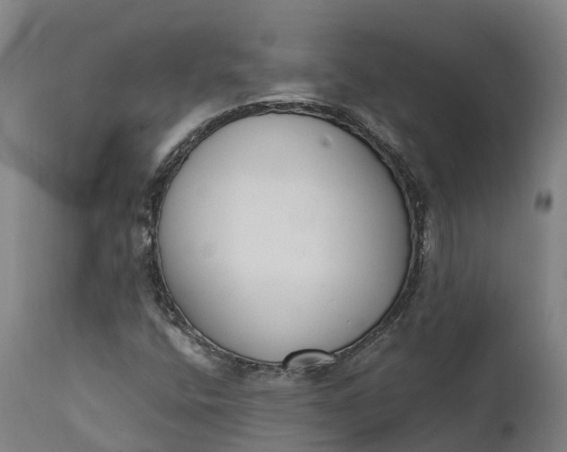X0000111651400200907311305
