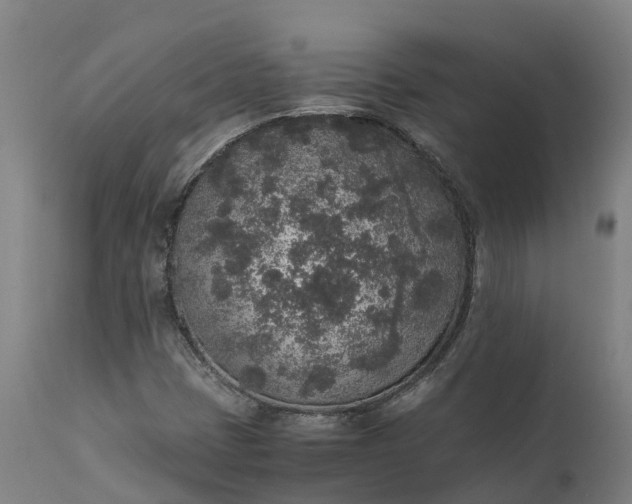 X0000111651401200907311305