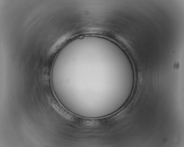 X0000111651403200907311305