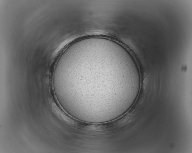 X0000111651404200907311305