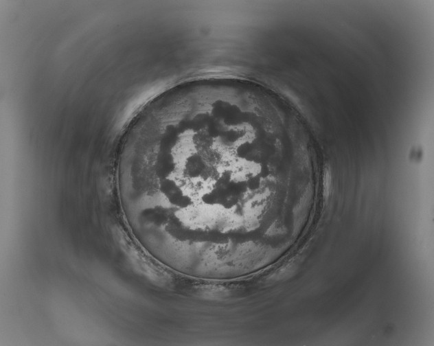 X0000111651405200907311305