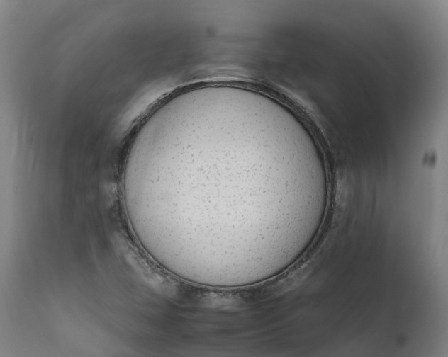 X0000111651407200907311305