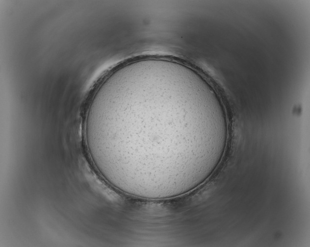 X0000111651408200907311305