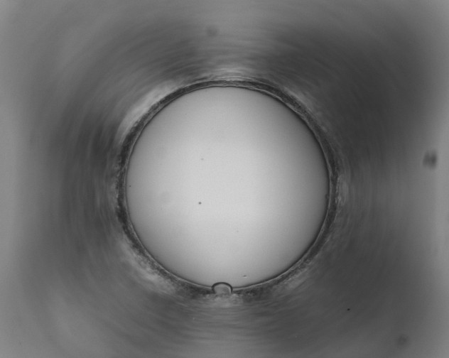 X0000111651410200907311306