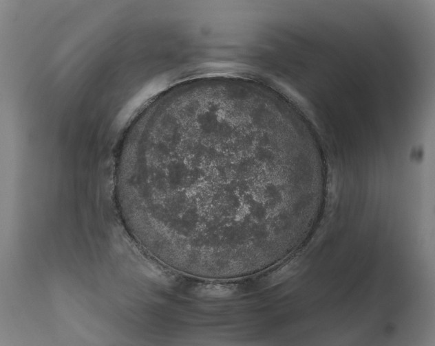 X0000111651411200907311306