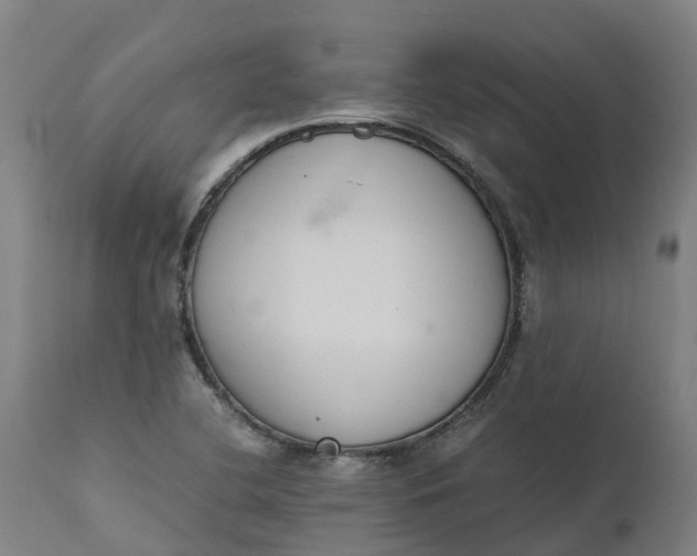 X0000111651412200907311306