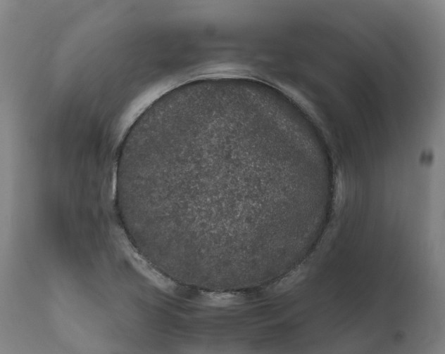 X0000111651413200907311306