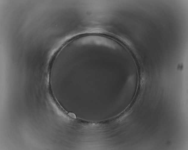 X0000111651414200907311306