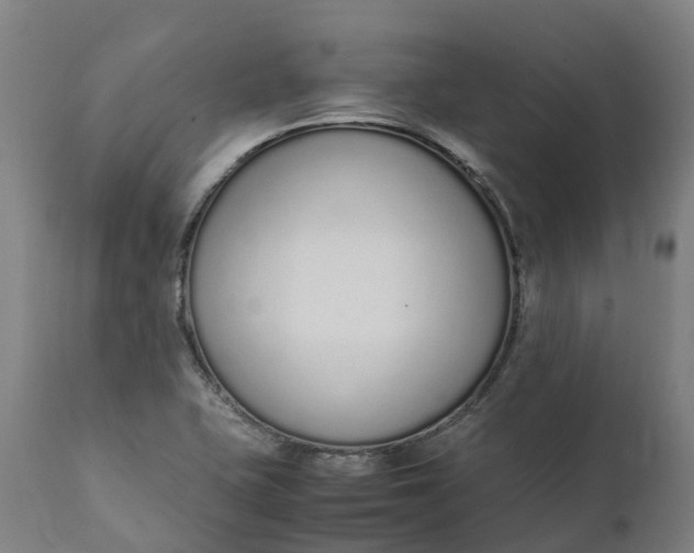 X0000111651415200907311306