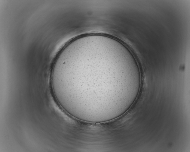 X0000111651416200907311306
