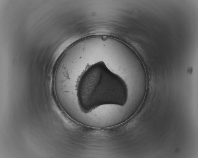 X0000111651418200907311306