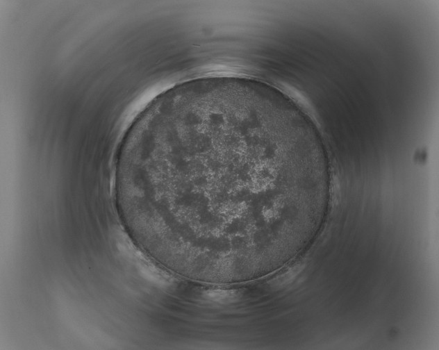 X0000111651419200907311306