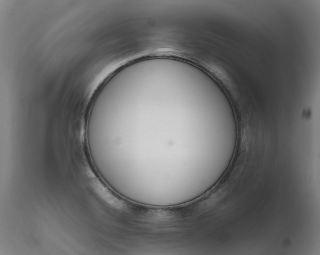 X0000111651420200907311306