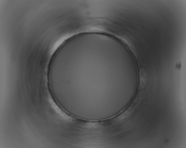 X0000111651422200907311306