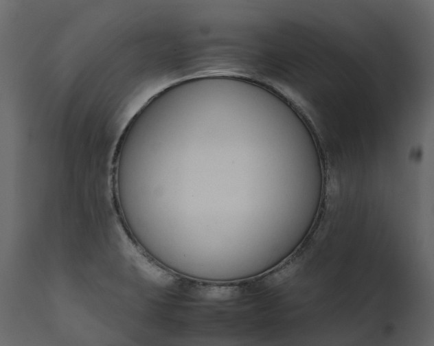 X0000111651423200907311306