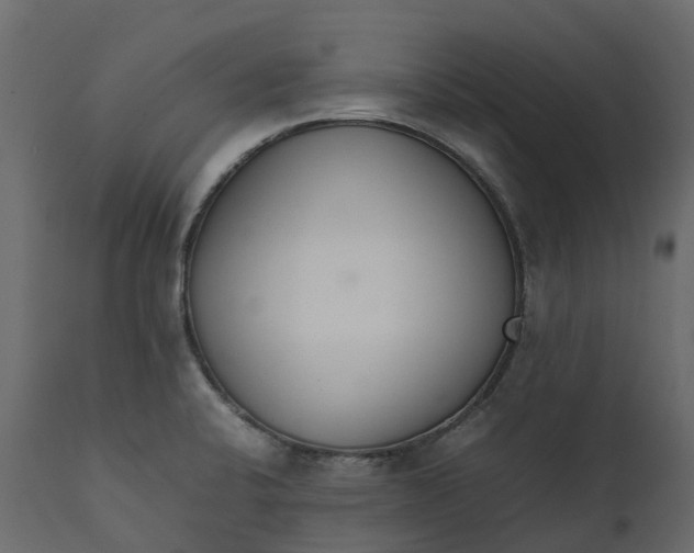 X0000111651424200907311306