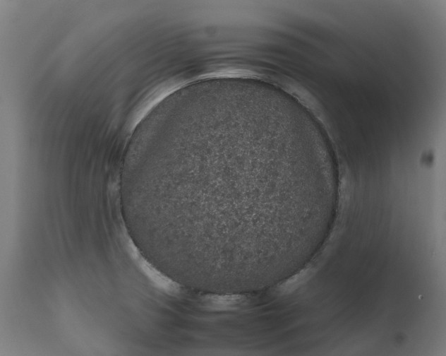 X0000111651425200907311306